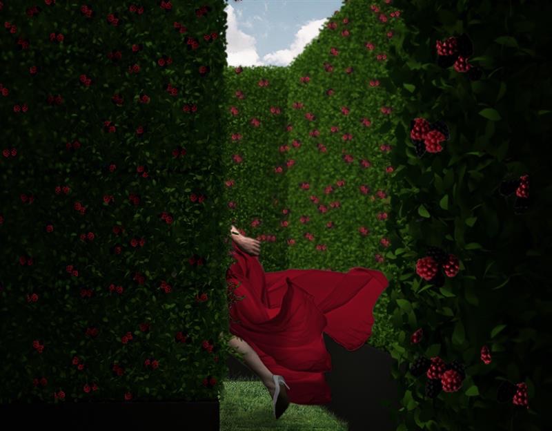Le Bramble Hedge Maze - image