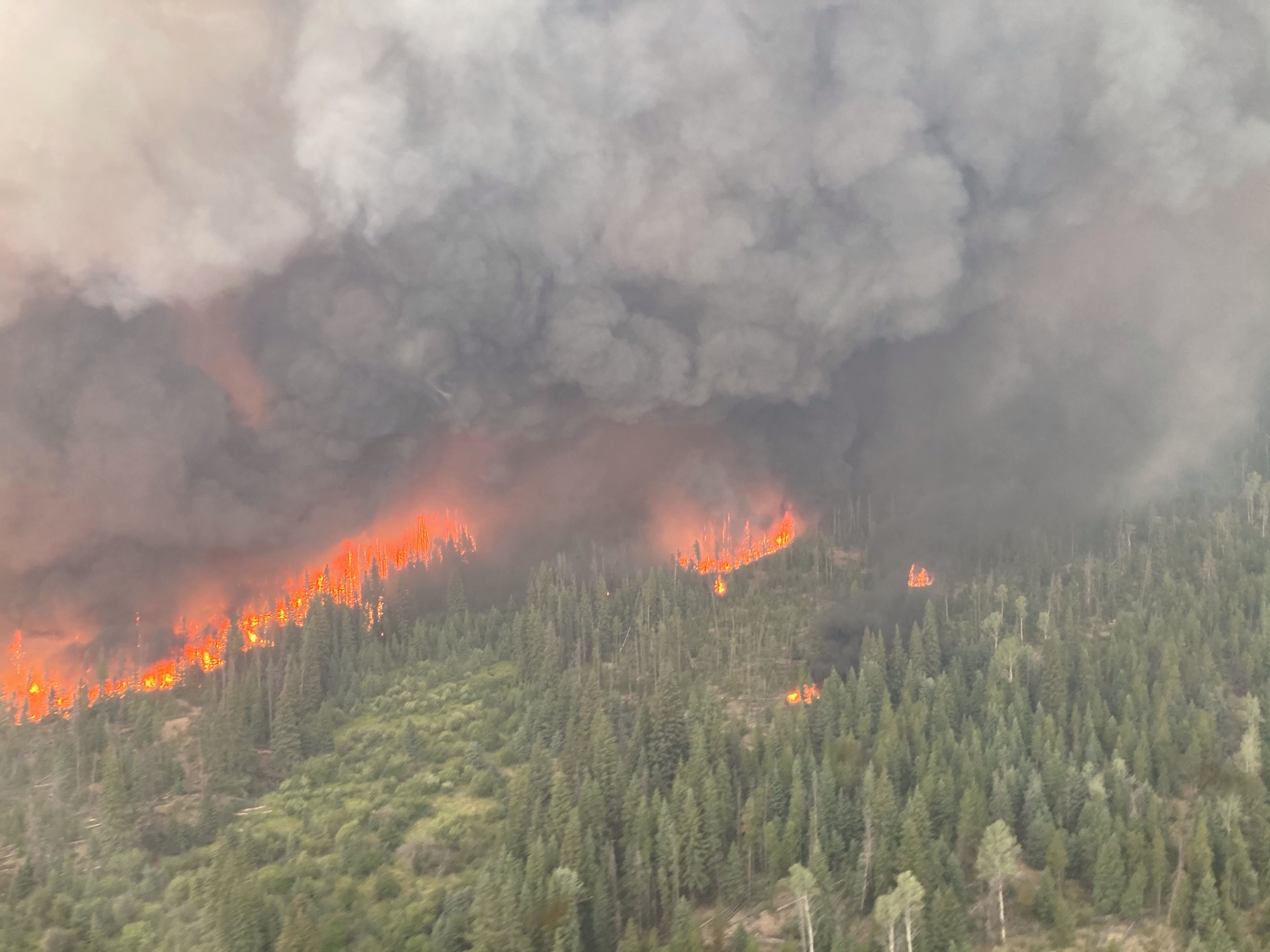 Entire Community Of Logan Lake B C Ordered To Evacuate Due To Wildfire Globalnews Ca