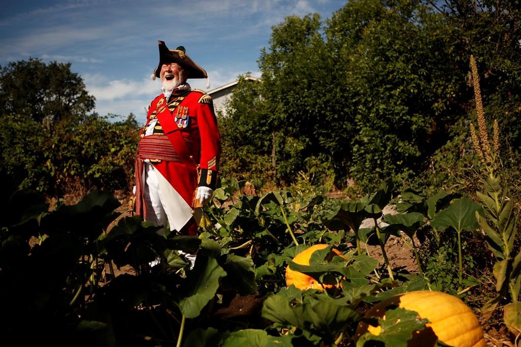 Ben Buss has been town crier in Duncan, B.C., since 2011. The city's council has decided to retire the position and is looking for another position to serve as the ambassador for the community. He's photographed at home amongst his Atlantic dill pumpkins in Duncan, B.C., on Thursday, Aug. 5, 2021. THE CANADIAN PRESS/Chad Hipolito.