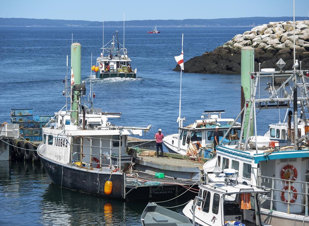 Ottawa issues reminder and warning about First Nations fishing rights -  Halifax