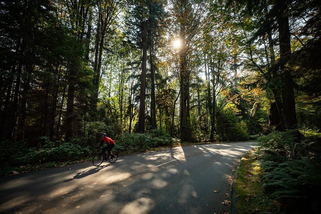 A cyclist rides on the road in the park on Friday, Oct. 2, 2020.