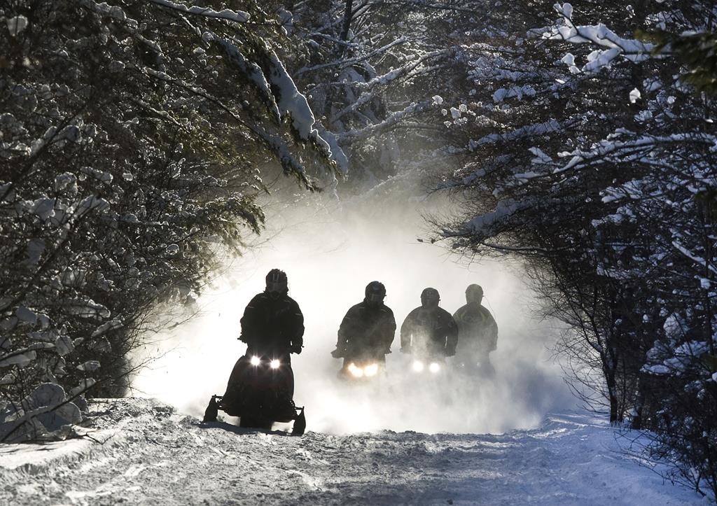 Four snowmobilers on a trail