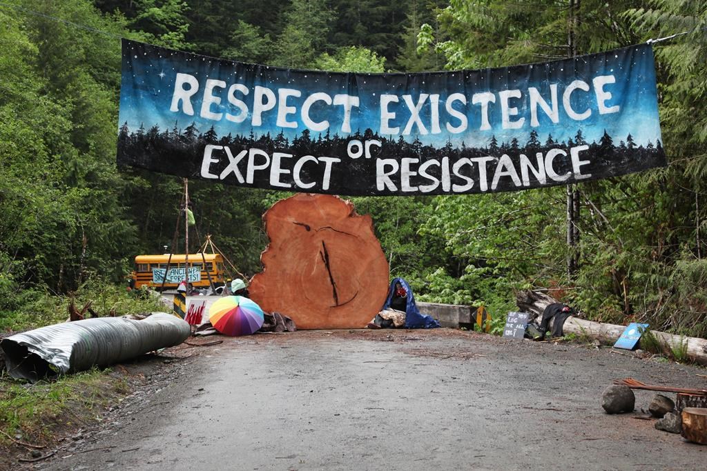 Protesters sit chained to a tree stump at an anti-old-growth logging blockade in Caycuse, B.C. on Tuesday, May 18, 2021. In the year since the first camp was set up to prevent old-growth logging on southern Vancouver Island, an expert in Canadian environmental movements says the protests have made a mark on provincial politics and public discourse. THE CANADIAN PRESS/Jen Osborne.