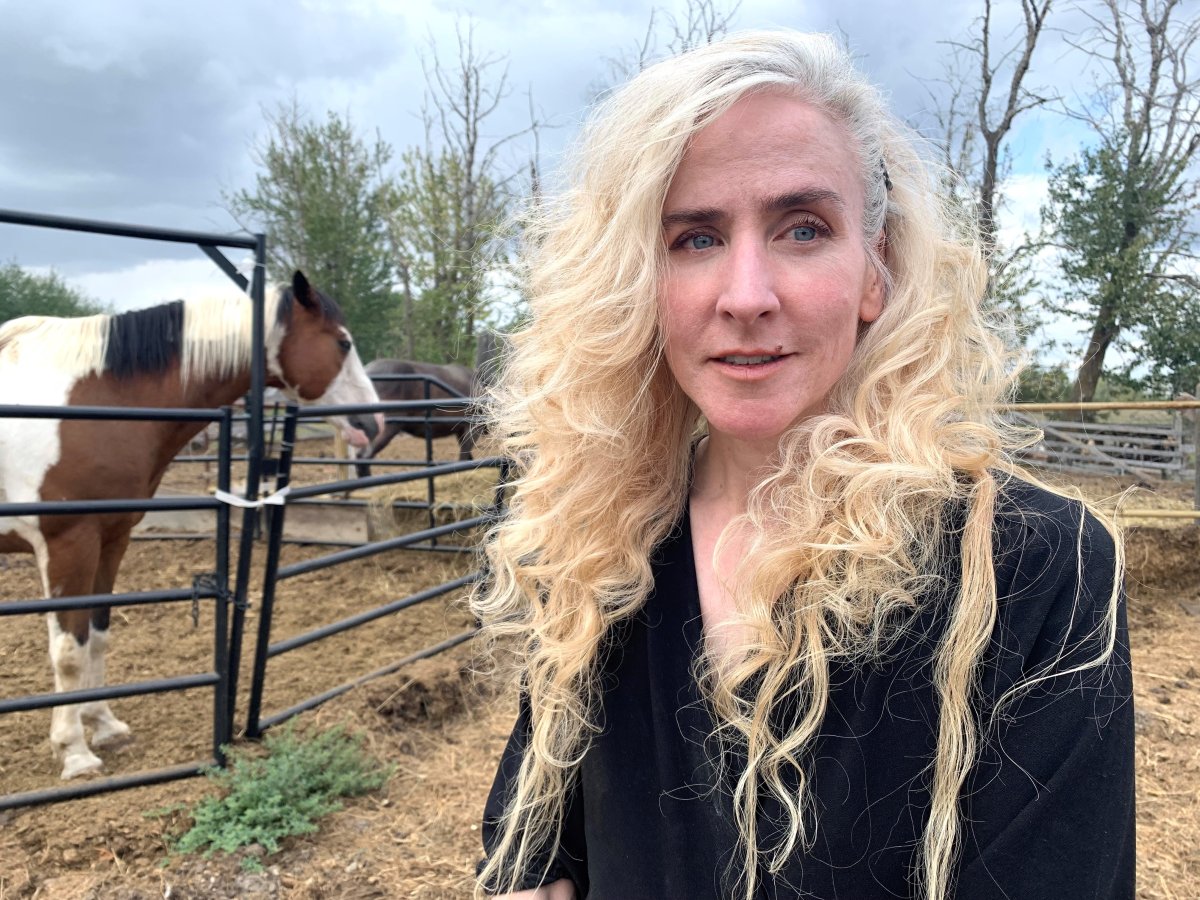 High cost of hay in Alberta could drive up beef prices, put livestock
