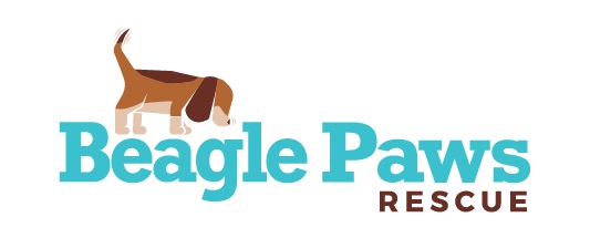Beagle Mania - image