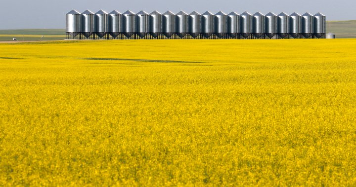 Saskatchewan farmers, Conservative MPs decry fertilizer emissions proposal