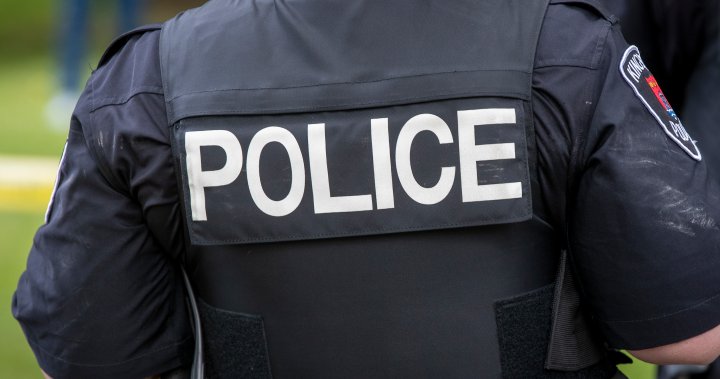 Pemuda Ottawa 17 tahun dengan pistol pelet ditangkap di luar sekolah Kingston: polisi
