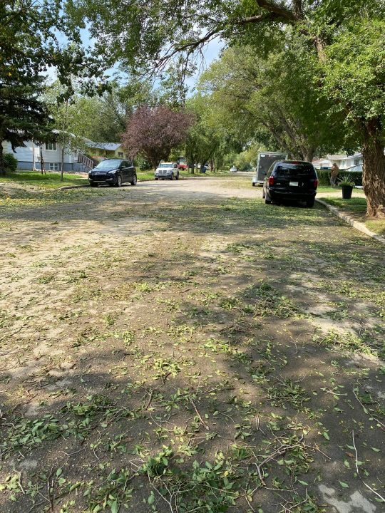 Trees and leaves cover Assiniboia streets following the hail storm.