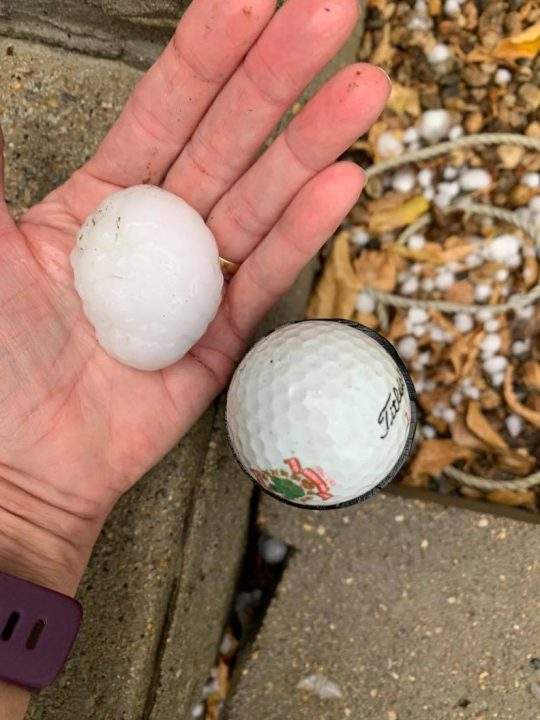 A storm brought golf ball-sized hail to some parts of Assiniboia Tuesday morning.