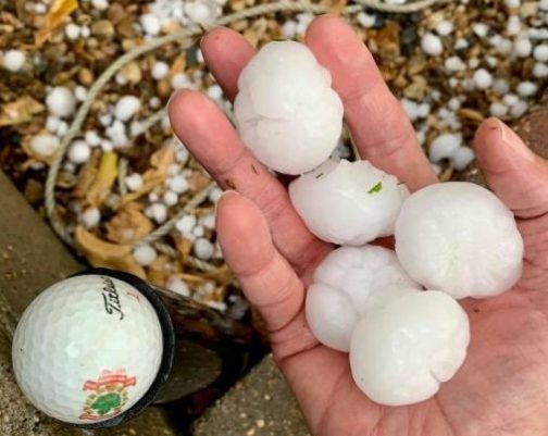 Assiniboia resident Dianne Bamford holds up pieces of hail next to a golf ball, following a storm in Saskatchewan.