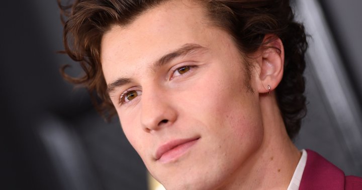 Shawn Mendes cancels remainder of world tour: ‘I was not all ready’