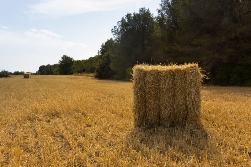 A hay bale is seen sitting in a field in a stock photo. 