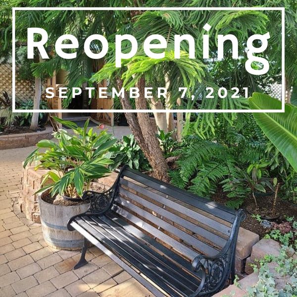 Regina Floral Conservatory Fall Reopening - image
