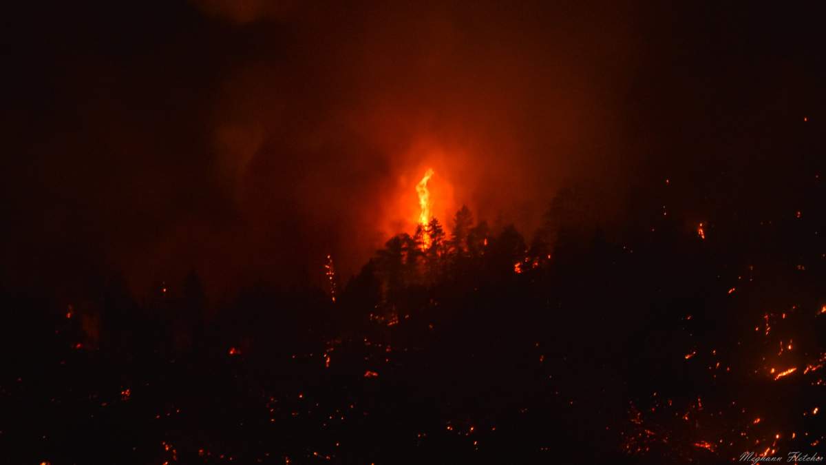 A tree candling at the Skaha Creek wildfire west of Penticton, B.C., on Sunday, Aug. 29, 2021.