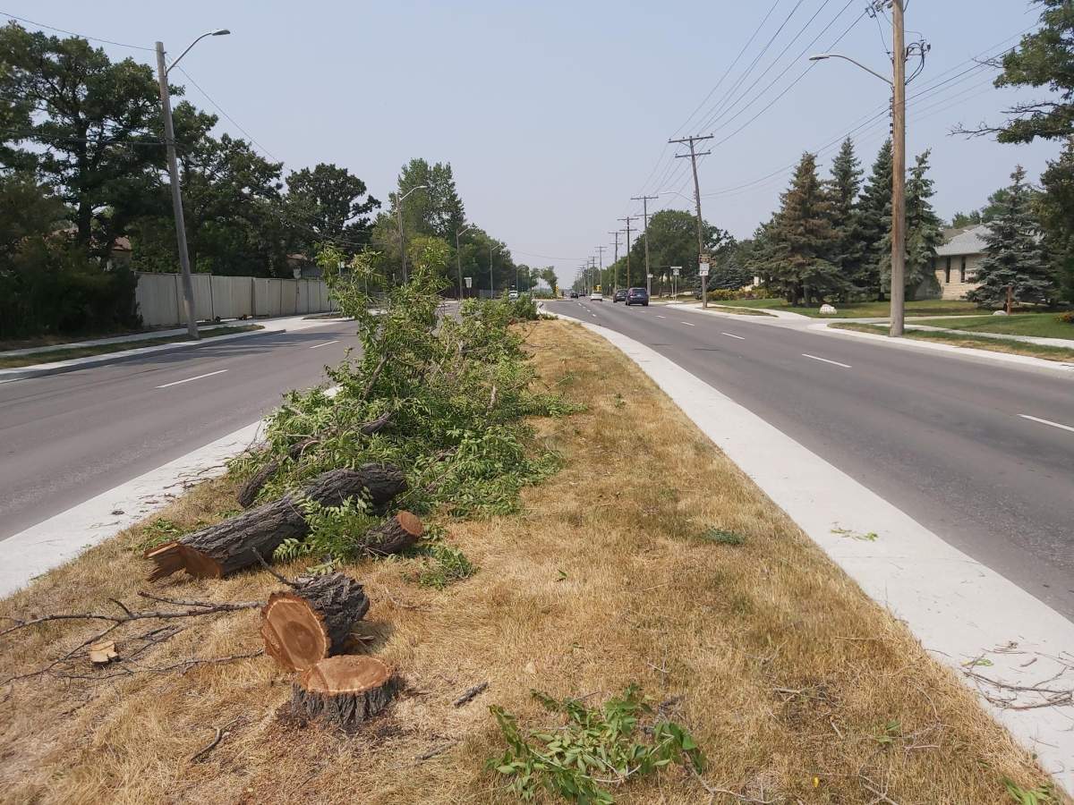 Several trees were deliberately damaged along Roblin Blvd., according to the Winnipeg Police Service.