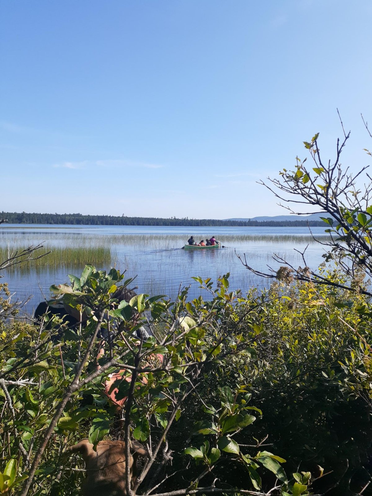 Wolastoqewi Mothers and Grandmothers canoeing on Miramichi Lake in an effort to prevent the spraying of a pesticide on the water to eradicate the invasive smallmouth bass.