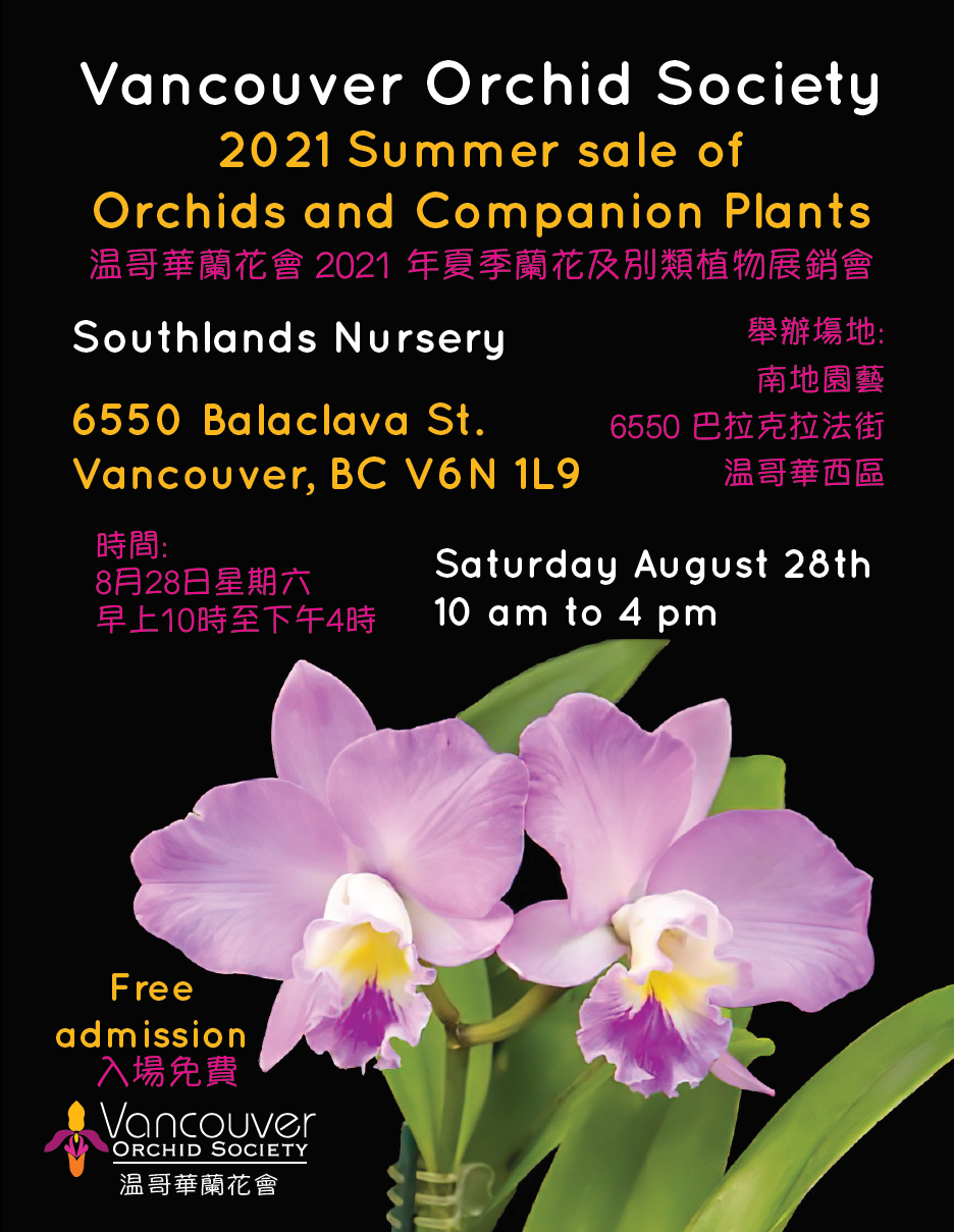 Vancouver Orchid Society Summer Sale - image