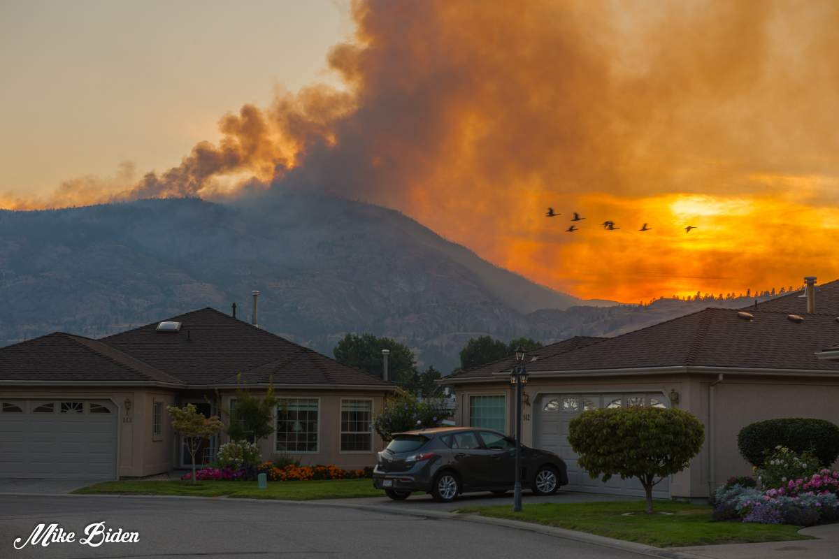 The Skaha Creek wildfire as pictured from a Penticton, B.C., subdivision on Sunday, Aug. 29, 2021.