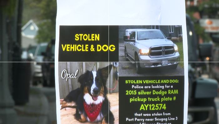 Police are investigating after a pickup truck was stolen with a puppy inside.