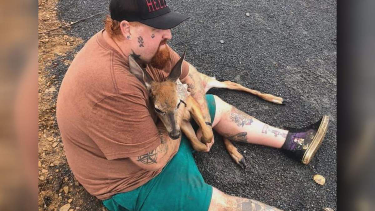 The fawn stayed in Sean Barrett’s lap until help arrived.