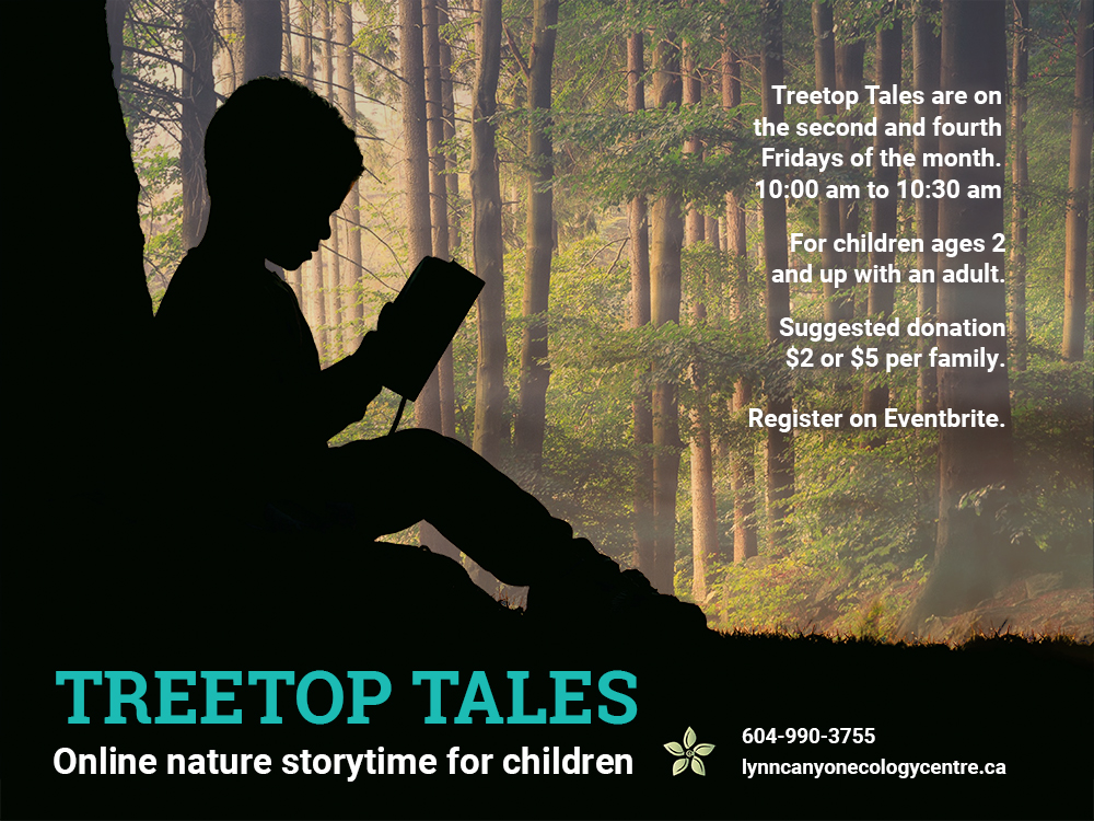 In The Treetops – Online Storytime with the Ecology Centre - image