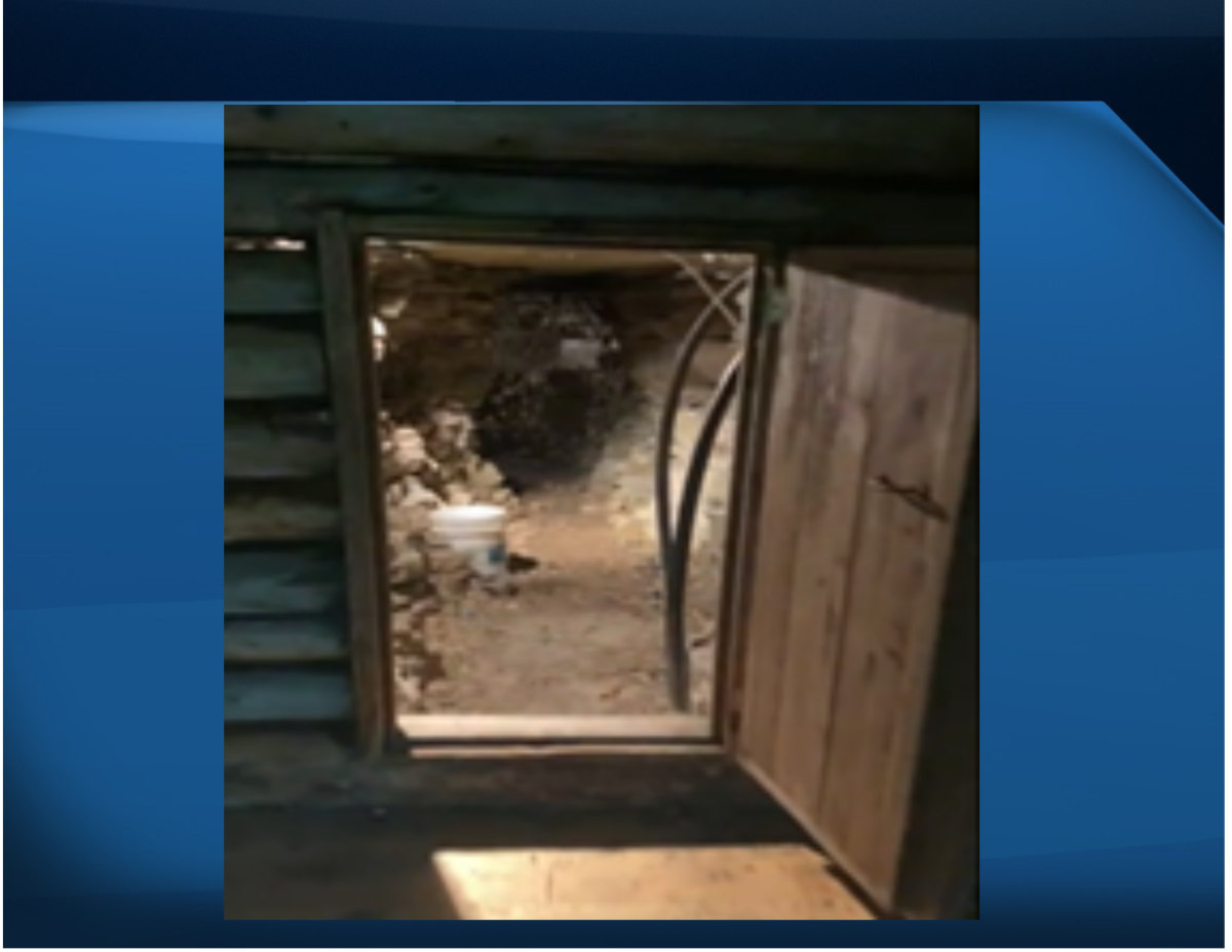 A cave was found on the property.