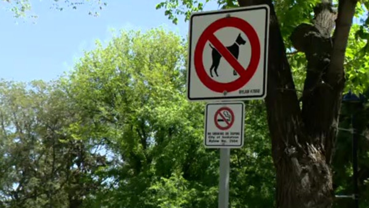 One of the no dogs allowed signs at Kiwanis memorial park.