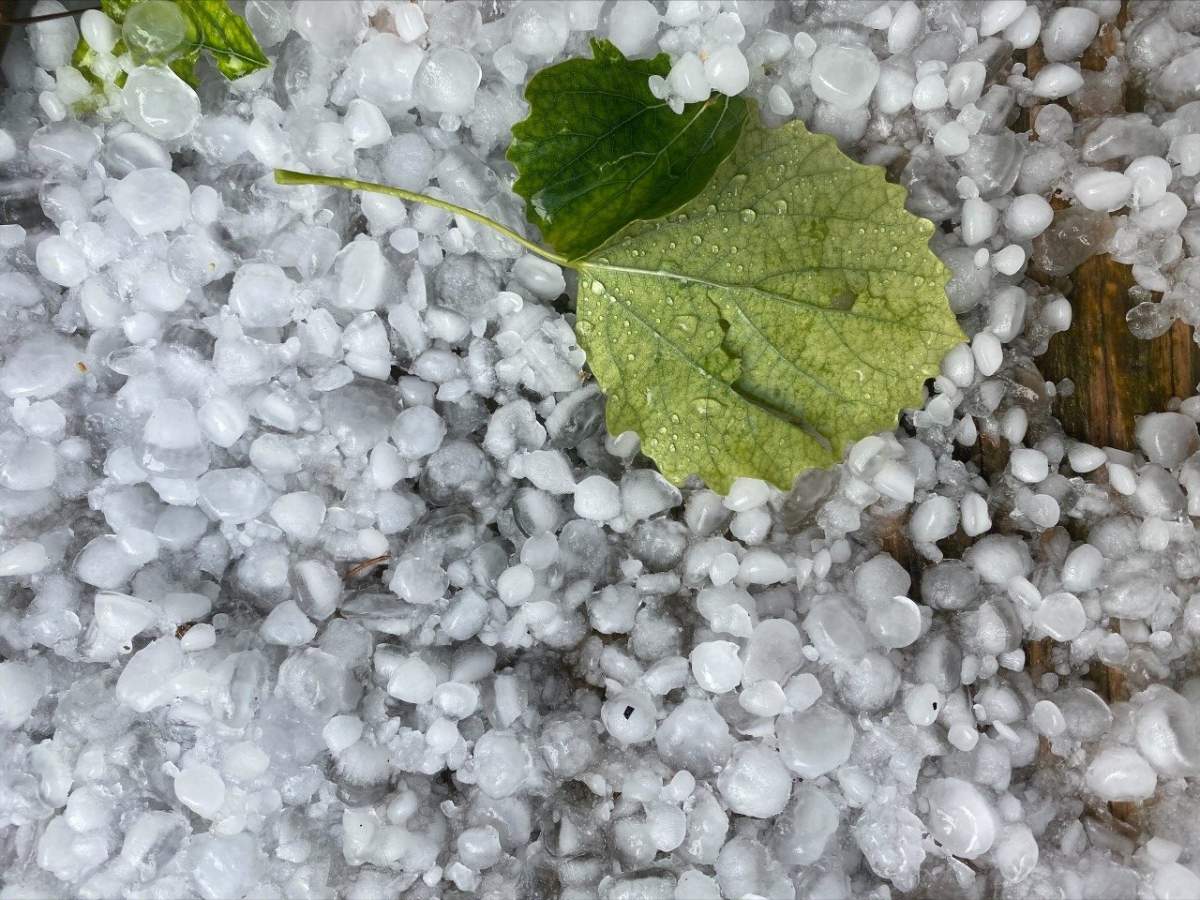 Hail fell in northwest Calgary on Sunday, Aug. 22, 2021.