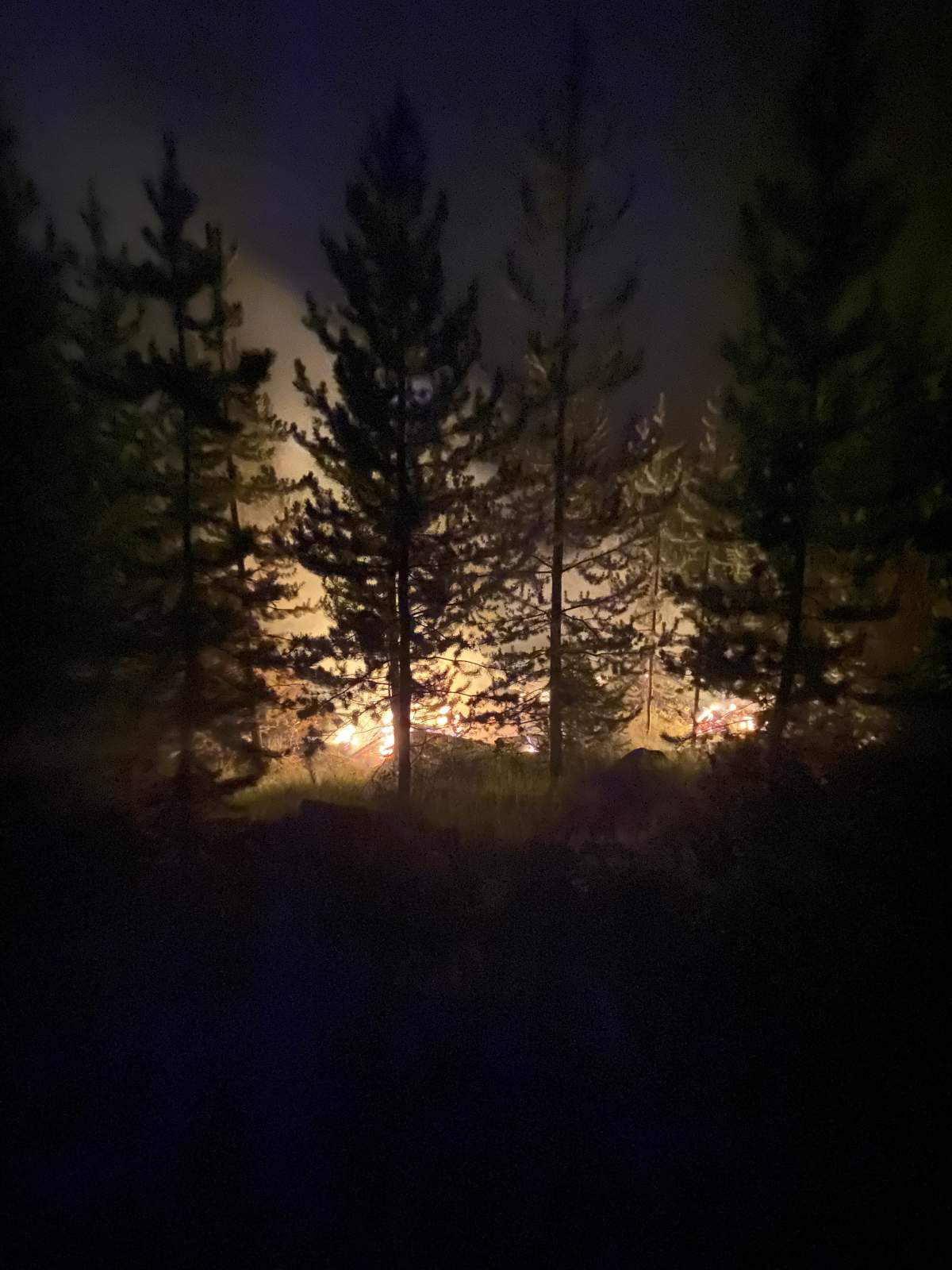 Courtesy: BC Wildfire Service