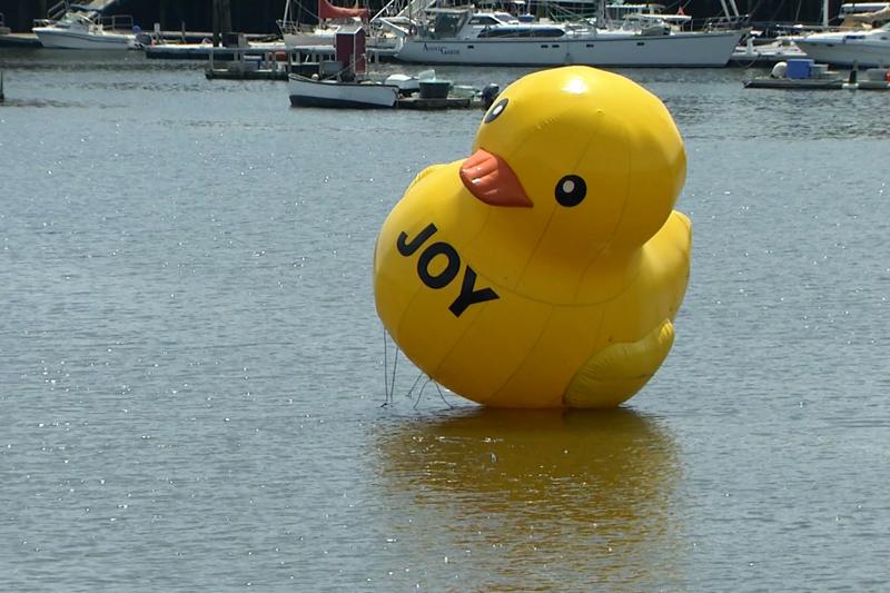 A giant rubber ducky floats in Belfast Harbor, Tuesday, Aug, 17, 2021, in Belfast, Maine.