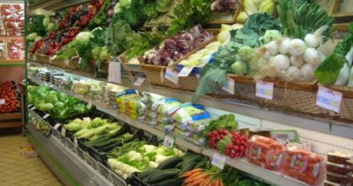 Global food prices hit 10-year high in 2021: report