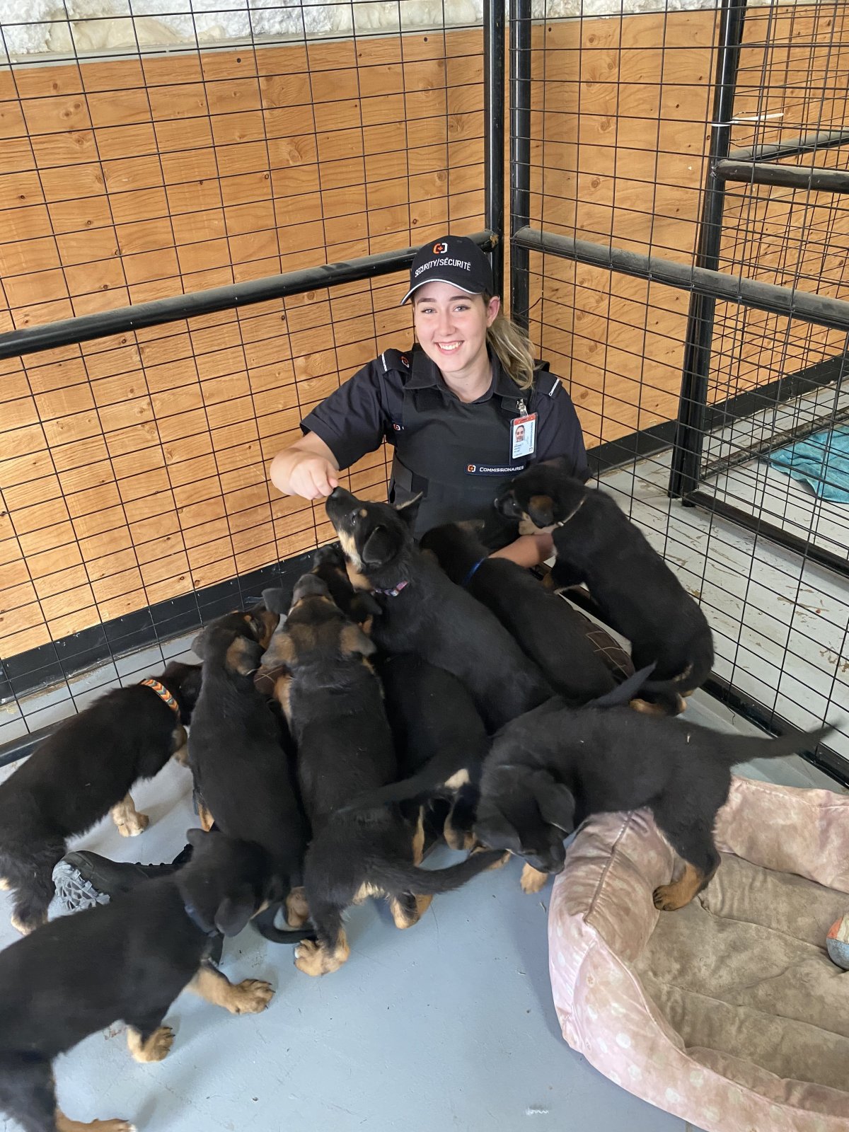 RDNO dog control took in 15 pups from an evacuee. 