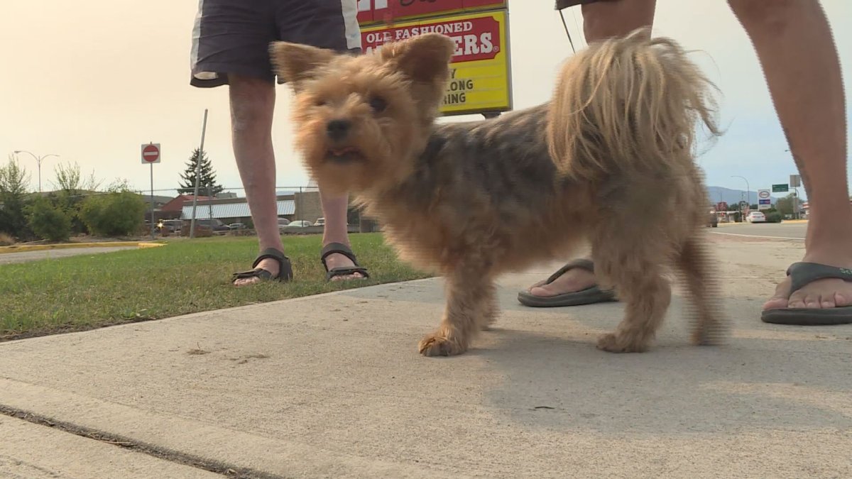 Some evacuees are struggling to pay a pet charge at a motel that they say was a surprise. 