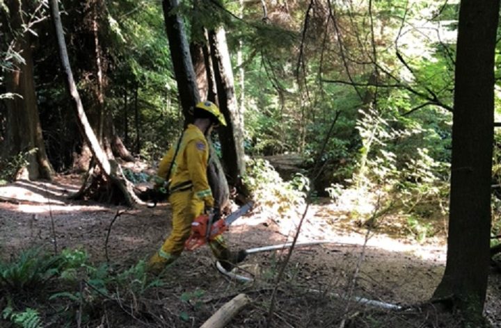 Crews responded to reports of smoke in a trail just north of Lost Lagoon on Monday, Aug. 2, 2021.