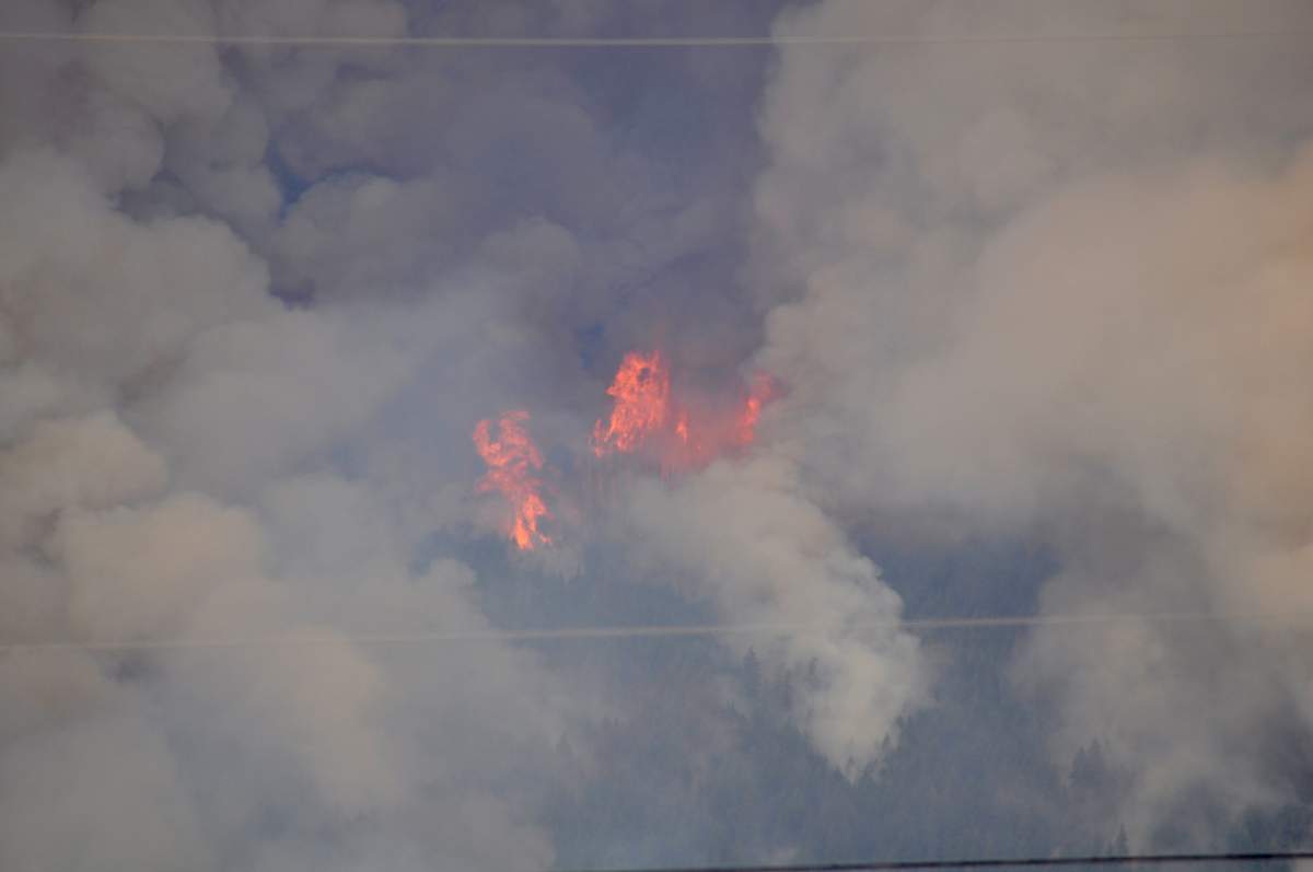 Rodney Volk shared this image of the planned ignition around the White Rock Lake fire.