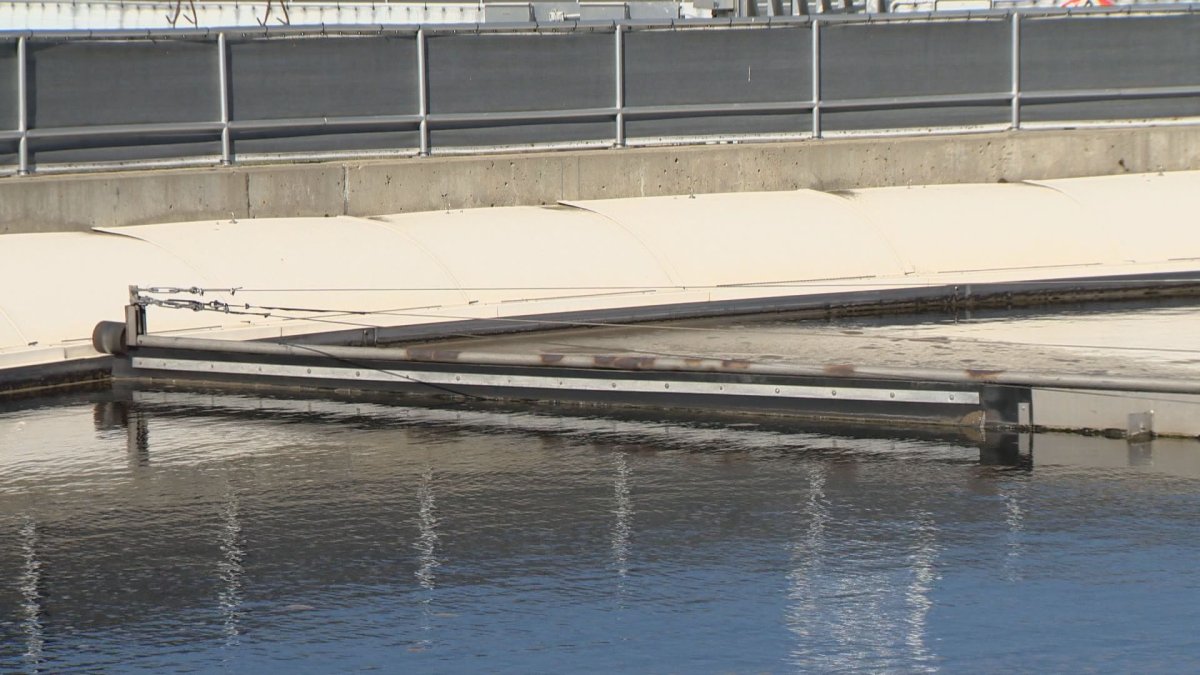 Researchers said samples from Aug. 15 and Aug. 17 showed the highest RNA load ever recorded in Saskatoon’s wastewater.