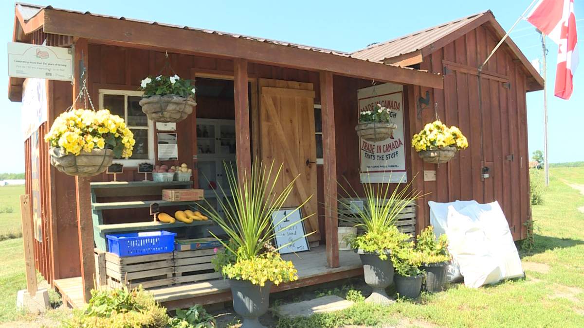 OPP say they have arrested a person allegedly responsible for a string of cashbox thefts in Prince Edward County.