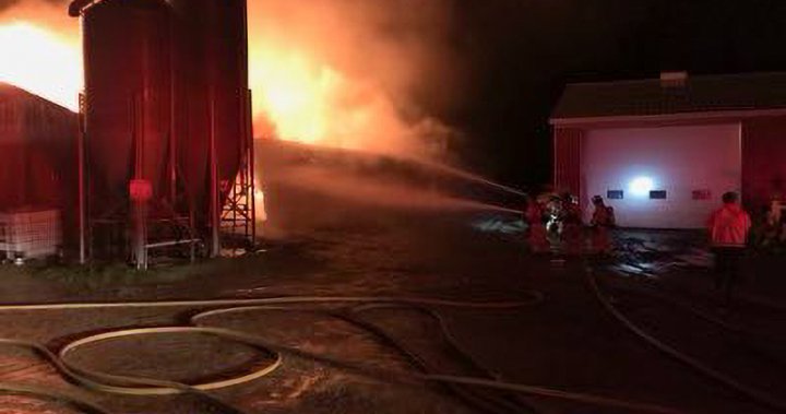 No animals or people harmed in Westminster Drive barn blaze; $750K in damage estimated