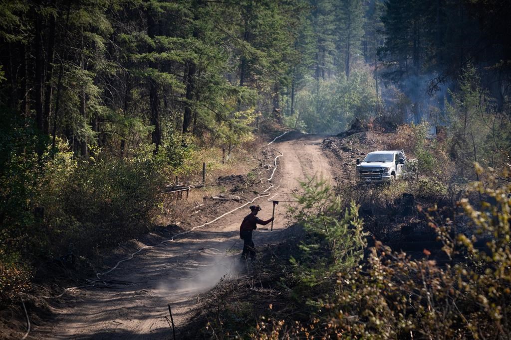 A wildland firefighter carrying an axe is silhouetted as he walks along a guard line while working on remaining hot spots from a controlled burn the B.C. Wildfire Service conducted to help contain the White Rock Lake wildfire on Okanagan Indian Band land, northwest of Vernon on Wednesday, August 25, 2021. THE CANADIAN PRESS/Darryl Dyck.