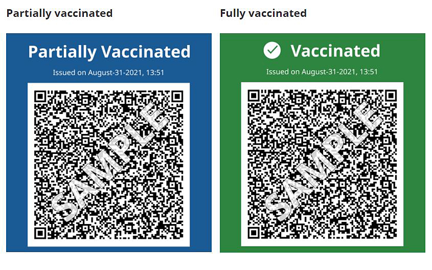 A screenshot showing samples of the partially and fully vaccinated options for B.C.’s soon-to-be implemented vaccine card. 