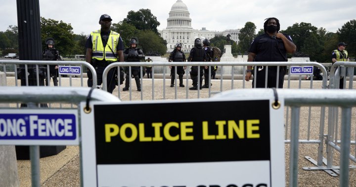 Trump allies subpoenaed in Capitol insurrection probe