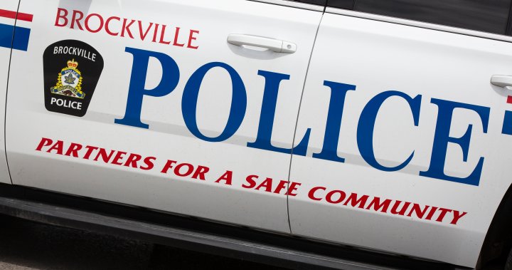 Мъж е обвинен в насилствен опит да отвлече куче в Броквил, Онтарио.