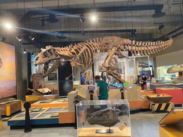 Over 12,200 visitors came through the gates of the T.rex Discovery Centre this past season.