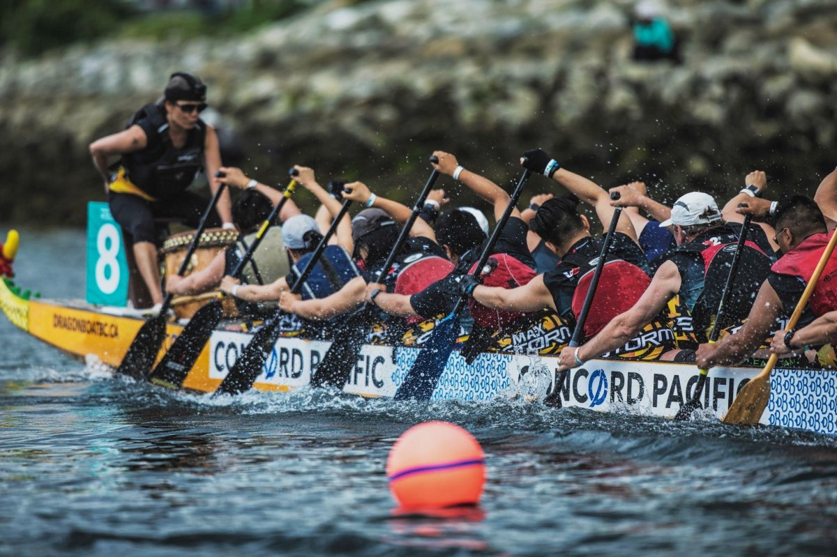 Global BC sponsors Concord Pacific Dragon Boat Festival - image