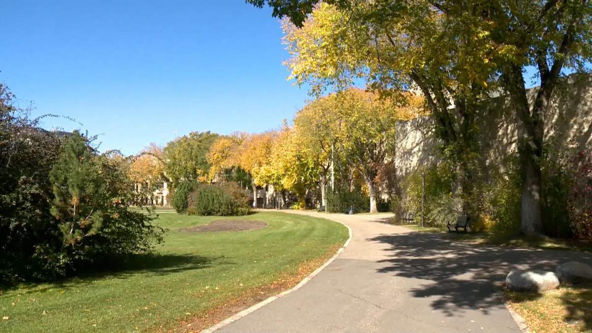 Fall is forecasted to bring a warm start and cooler finish to residents through many parts of Saskatchewan, along with slightly below-average precipitation.