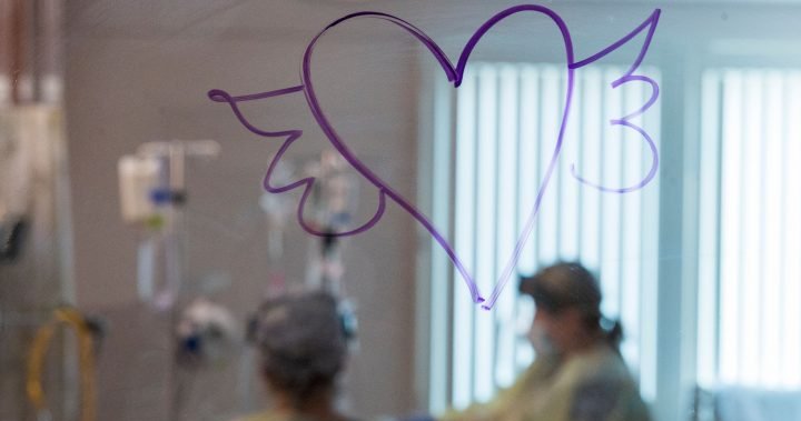 ‘Dolor para el corazón’: las muertes diarias por COVID-19 en los EE. UU. Superan las 1.900 – a nivel nacional