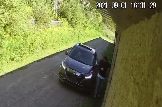 A surveillance image of the suspect and vehicle used in the theft of items in storage units.
