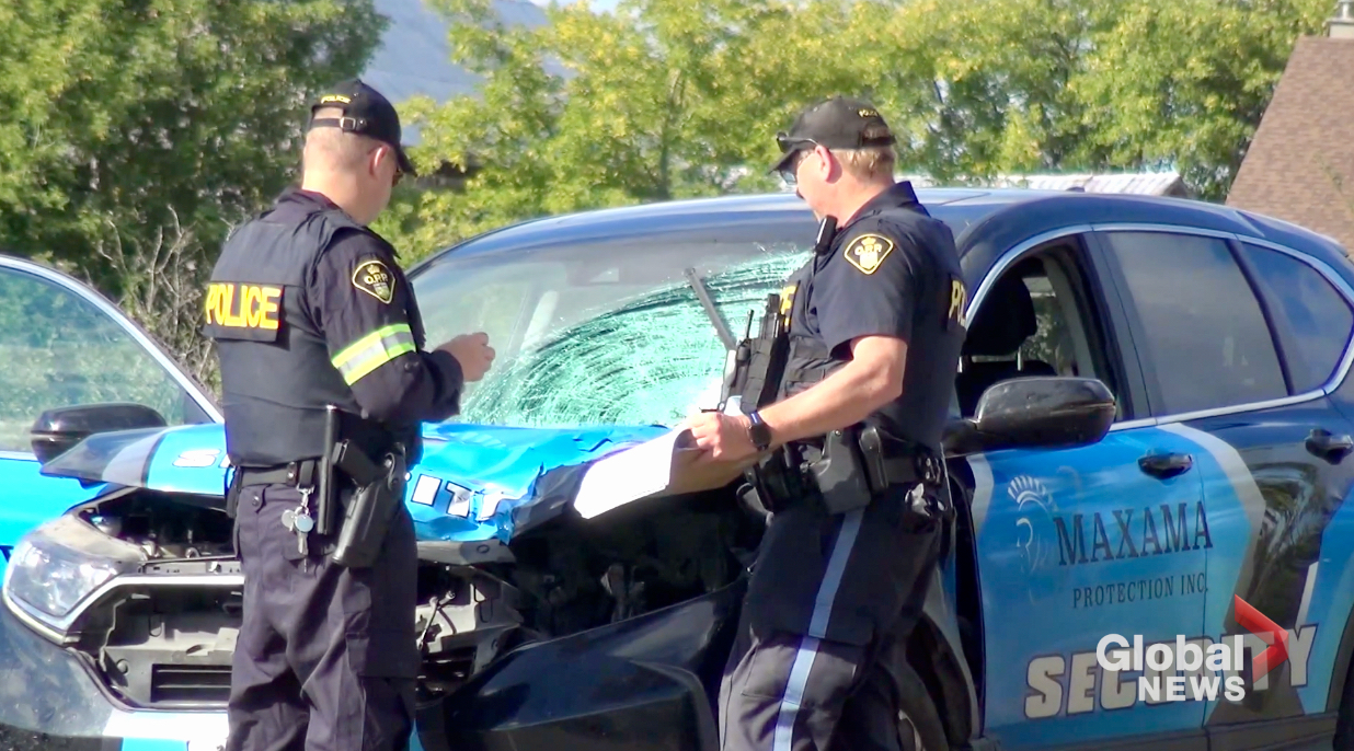 Pedestrian killed after struck by vehicle on Highway 7 near Omemee in ...