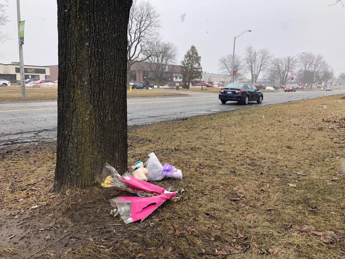 How many Canadians have fallen victim to terrorism? - image