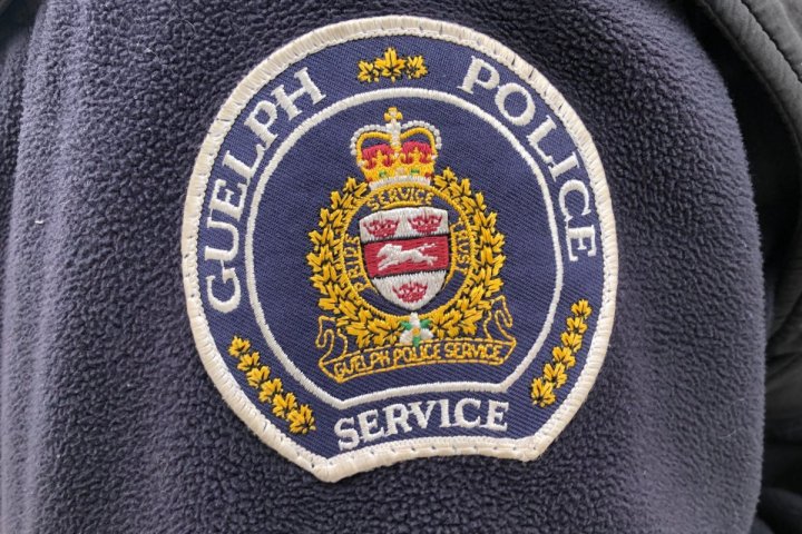 Guelph police looking for pedestrian after vehicle was damaged